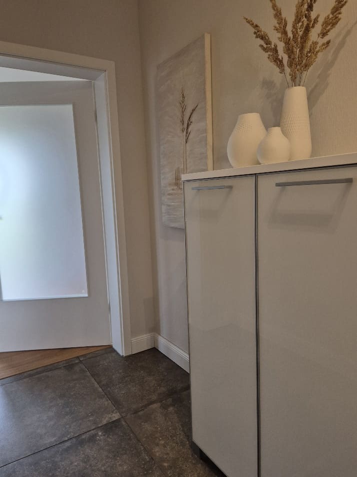 Diele-Schrank-Tuer